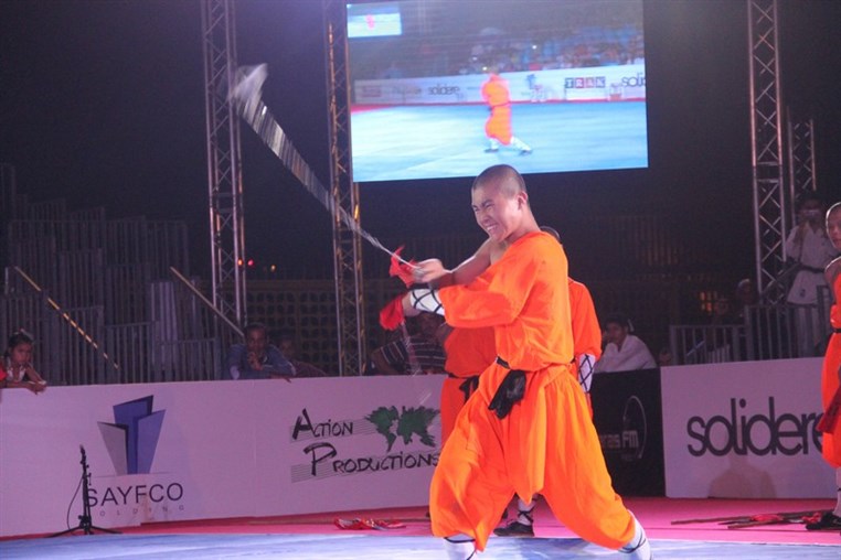 Martial Arts Festival